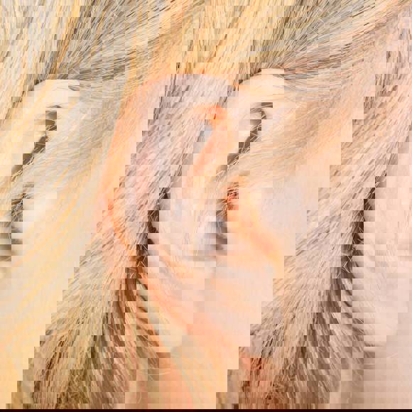 Close up of a woman's ear with blonde hair, showing normal outer ear structure and skin detail